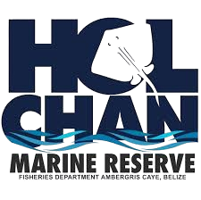 holchan